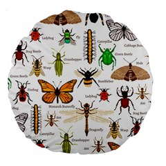 Insects-seamless-pattern Large 18  Premium Round Cushions