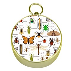 Insects-seamless-pattern Gold Compasses