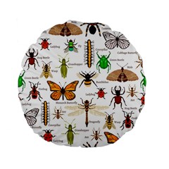 Insects-seamless-pattern Standard 15  Premium Flano Round Cushions