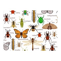 Insects-seamless-pattern Two Sides Premium Plush Fleece Blanket (Mini)