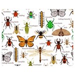 Insects-seamless-pattern Two Sides Premium Plush Fleece Blanket (Medium) 60 x50  Blanket Front