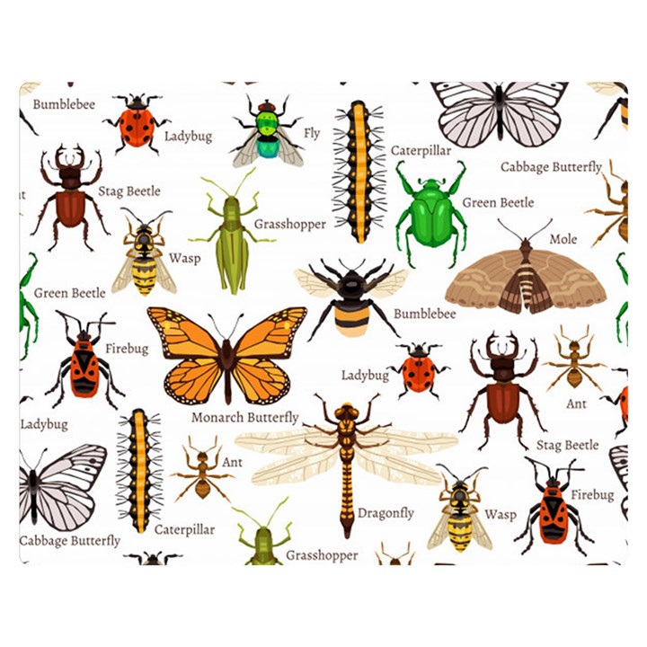 Insects-seamless-pattern Two Sides Premium Plush Fleece Blanket (Medium)