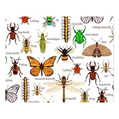 Insects-seamless-pattern Two Sides Premium Plush Fleece Blanket (Large)