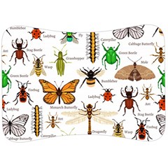 Insects-seamless-pattern Velour Seat Head Rest Cushion