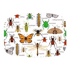 Insects-seamless-pattern Mini Square Pill Box