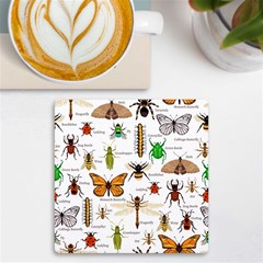 Insects-seamless-pattern UV Print Square Tile Coaster 