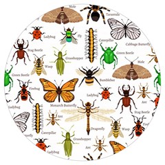 Insects-seamless-pattern Round Trivet