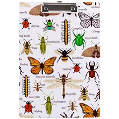 Insects-seamless-pattern A4 Acrylic Clipboard