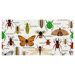 Insects-seamless-pattern Banner and Sign 8  x 4 