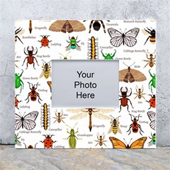 Insects-seamless-pattern White Wall Photo Frame 5  x 7 