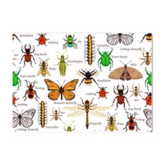 Insects-seamless-pattern Crystal Sticker (A4)