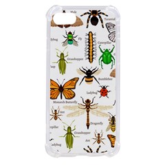 Insects-seamless-pattern iPhone SE