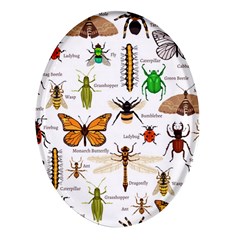 Insects-seamless-pattern Oval Glass Fridge Magnet (4 pack)