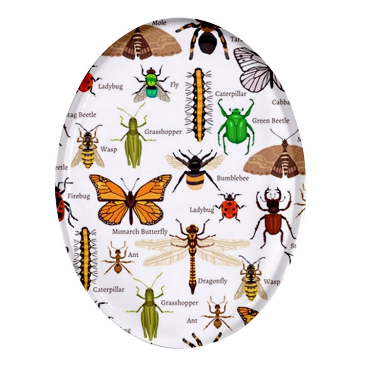 Insects-seamless-pattern Oval Glass Fridge Magnet (4 pack)