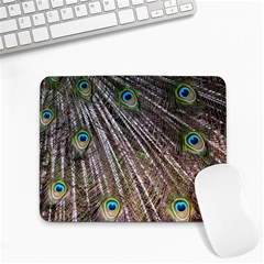 Peacock-feathers-pattern-colorful Small Mousepad by Amaryn4rt