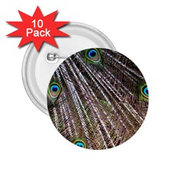 Peacock-feathers-pattern-colorful 2 25  Buttons (10 Pack) 