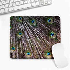 Peacock-feathers-pattern-colorful Large Mousepad by Amaryn4rt