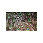 Peacock-feathers-pattern-colorful Sticker (Rectangular) Front