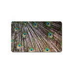 Peacock-feathers-pattern-colorful Magnet (Name Card) Front