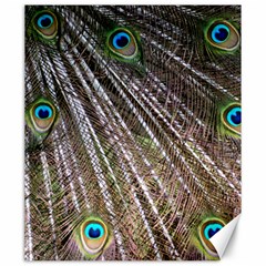 Peacock-feathers-pattern-colorful Canvas 20  X 24  by Amaryn4rt