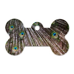 Peacock-feathers-pattern-colorful Dog Tag Bone (one Side) by Amaryn4rt