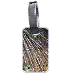 Peacock-feathers-pattern-colorful Luggage Tag (two Sides) by Amaryn4rt