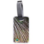 Peacock-feathers-pattern-colorful Luggage Tag (two sides) Front