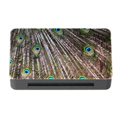 Peacock-feathers-pattern-colorful Memory Card Reader With Cf by Amaryn4rt