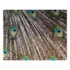 Peacock-feathers-pattern-colorful Two Sides Premium Plush Fleece Blanket (large) by Amaryn4rt