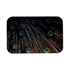 Peacock-feathers-pattern-colorful Open Lid Metal Box (silver)   by Amaryn4rt