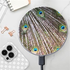 Peacock-feathers-pattern-colorful Wireless Fast Charger(white) by Amaryn4rt