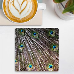 Peacock-feathers-pattern-colorful Uv Print Square Tile Coaster  by Amaryn4rt