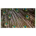 Peacock-feathers-pattern-colorful Banner and Sign 7  x 4  Front