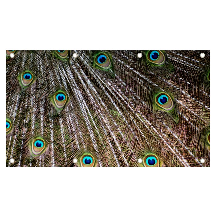 Peacock-feathers-pattern-colorful Banner and Sign 7  x 4 