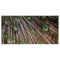 Peacock-feathers-pattern-colorful Banner And Sign 8  X 4  by Amaryn4rt