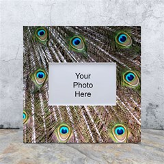 Peacock-feathers-pattern-colorful White Box Photo Frame 4  X 6  by Amaryn4rt