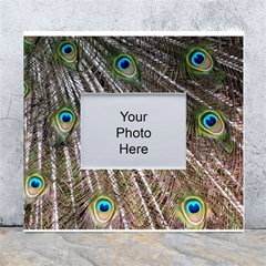 Peacock-feathers-pattern-colorful White Wall Photo Frame 5  X 7  by Amaryn4rt