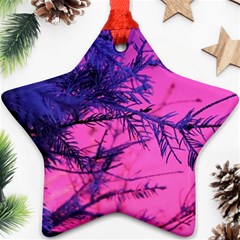 Fir Sunset Frost Snow Ornament (star) by Pakjumat