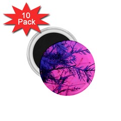 Fir Sunset Frost Snow 1 75  Magnets (10 Pack)  by Pakjumat