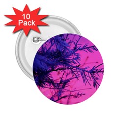 Fir Sunset Frost Snow 2 25  Buttons (10 Pack) 