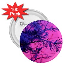 Fir Sunset Frost Snow 2 25  Buttons (100 Pack)  by Pakjumat