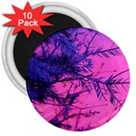 Fir Sunset Frost Snow 3  Magnets (10 pack)  Front