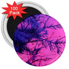 Fir Sunset Frost Snow 3  Magnets (100 Pack) by Pakjumat