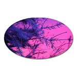 Fir Sunset Frost Snow Oval Magnet Front