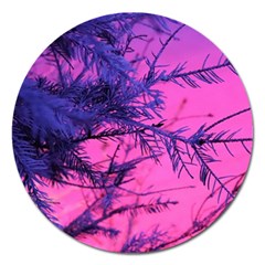 Fir Sunset Frost Snow Magnet 5  (round) by Pakjumat