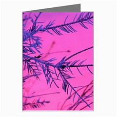 Fir Sunset Frost Snow Greeting Card by Pakjumat