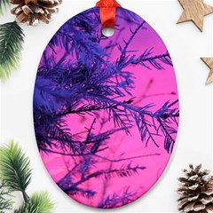 Fir Sunset Frost Snow Oval Ornament (two Sides) by Pakjumat