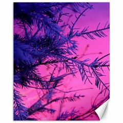 Fir Sunset Frost Snow Canvas 11  X 14  by Pakjumat