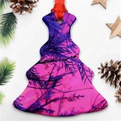 Fir Sunset Frost Snow Ornament (christmas Tree)  by Pakjumat