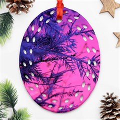 Fir Sunset Frost Snow Oval Filigree Ornament (two Sides) by Pakjumat